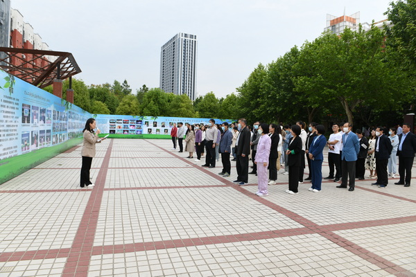 DSC_9162.JPG