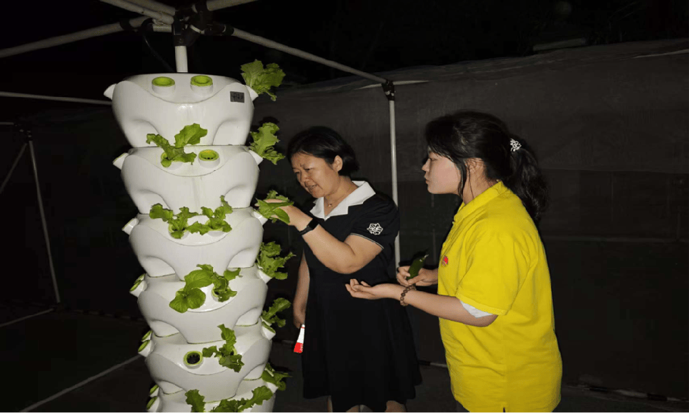 田野是最好的实训场：职教青年乡村振兴调研成长记——全国60所职业本科大学和212村调研实录