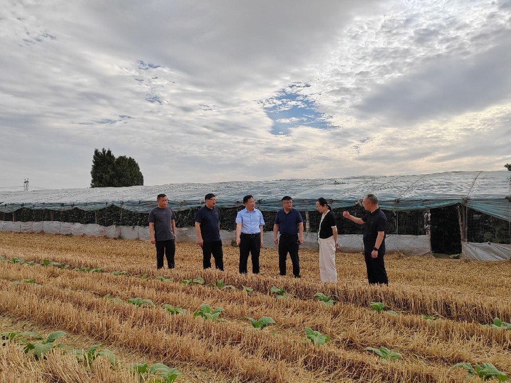 平顶山学院校领导赴帮扶村调研指导乡村振兴工作