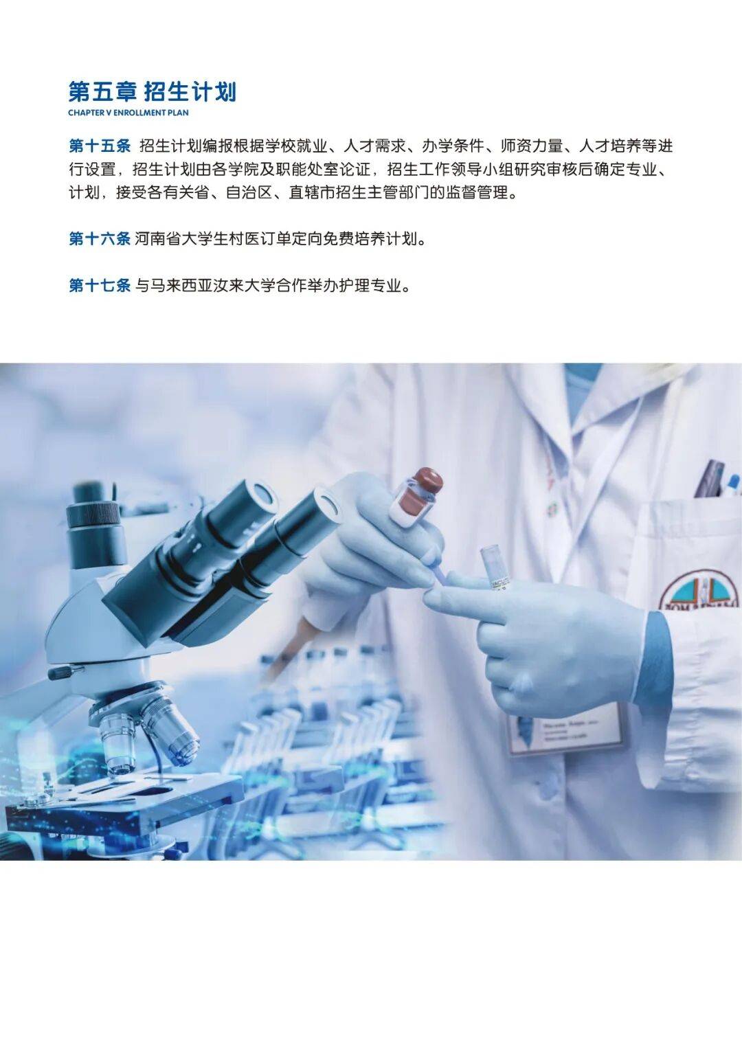 文章配图-4